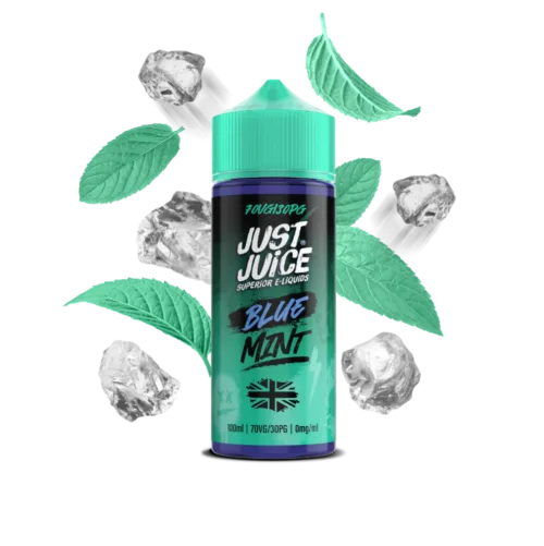 blue mint 100ml fruit