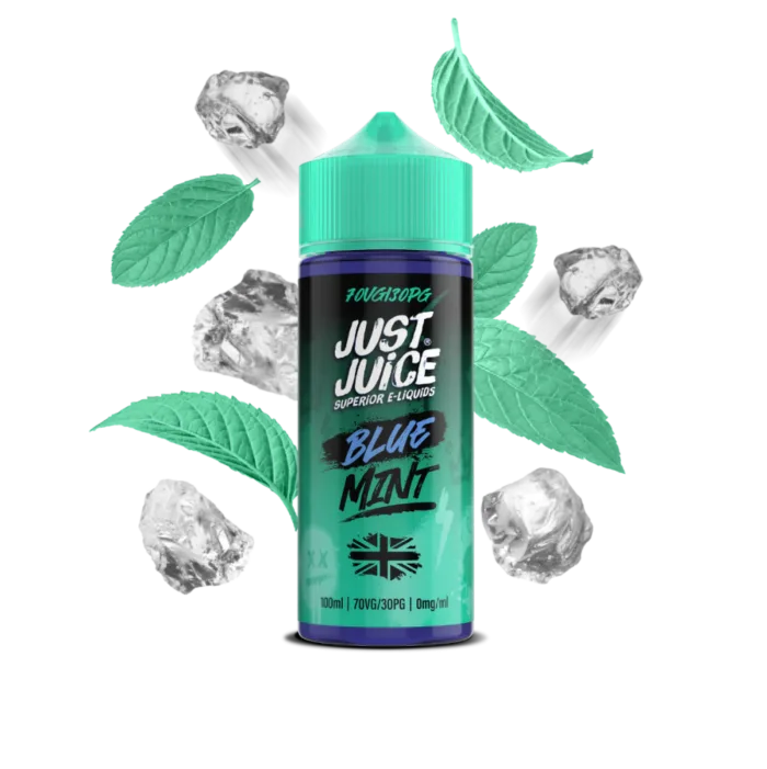 blue mint 100ml fruit